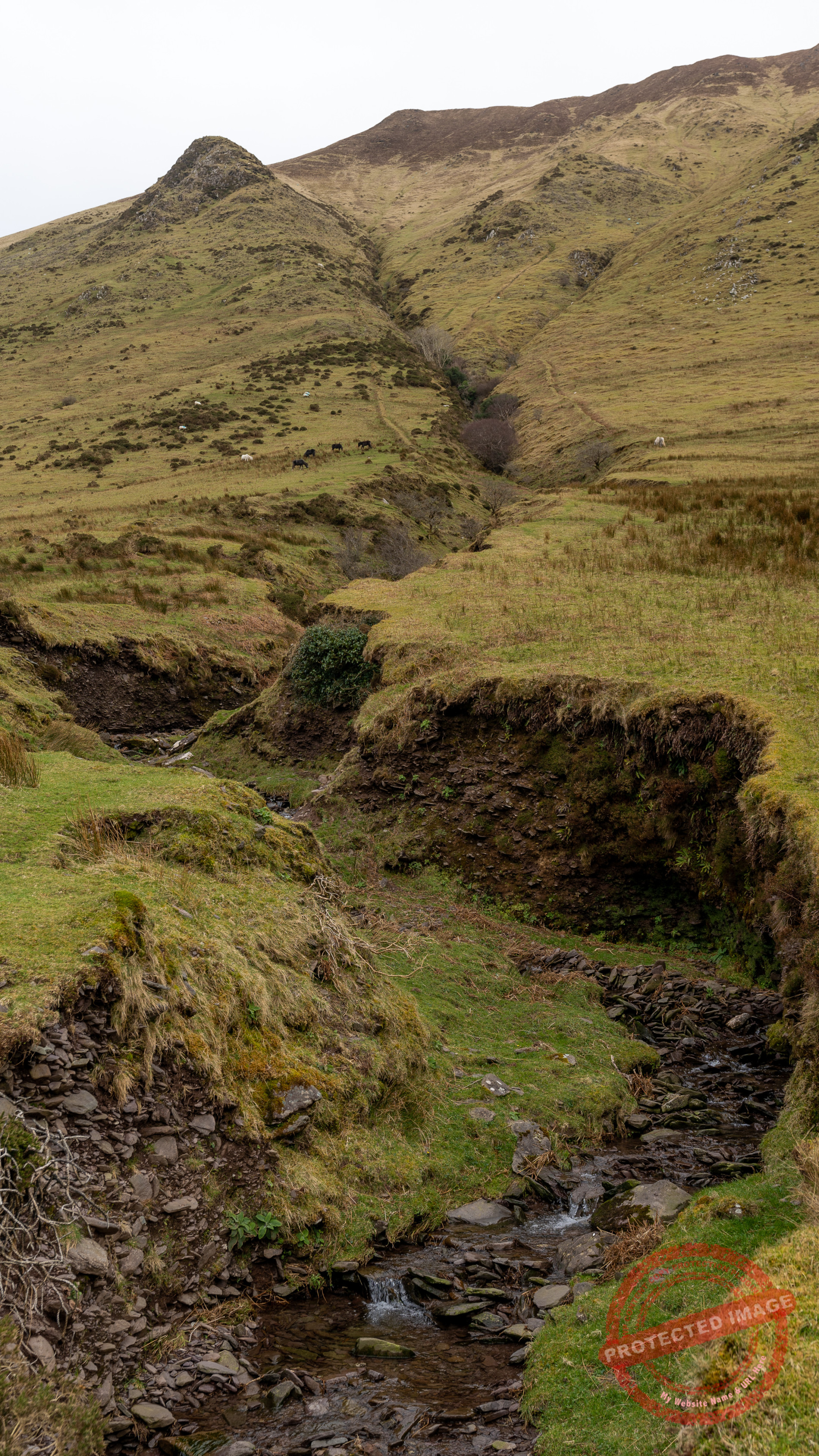 View along a ravine up the slope of Binn an Tuair.
