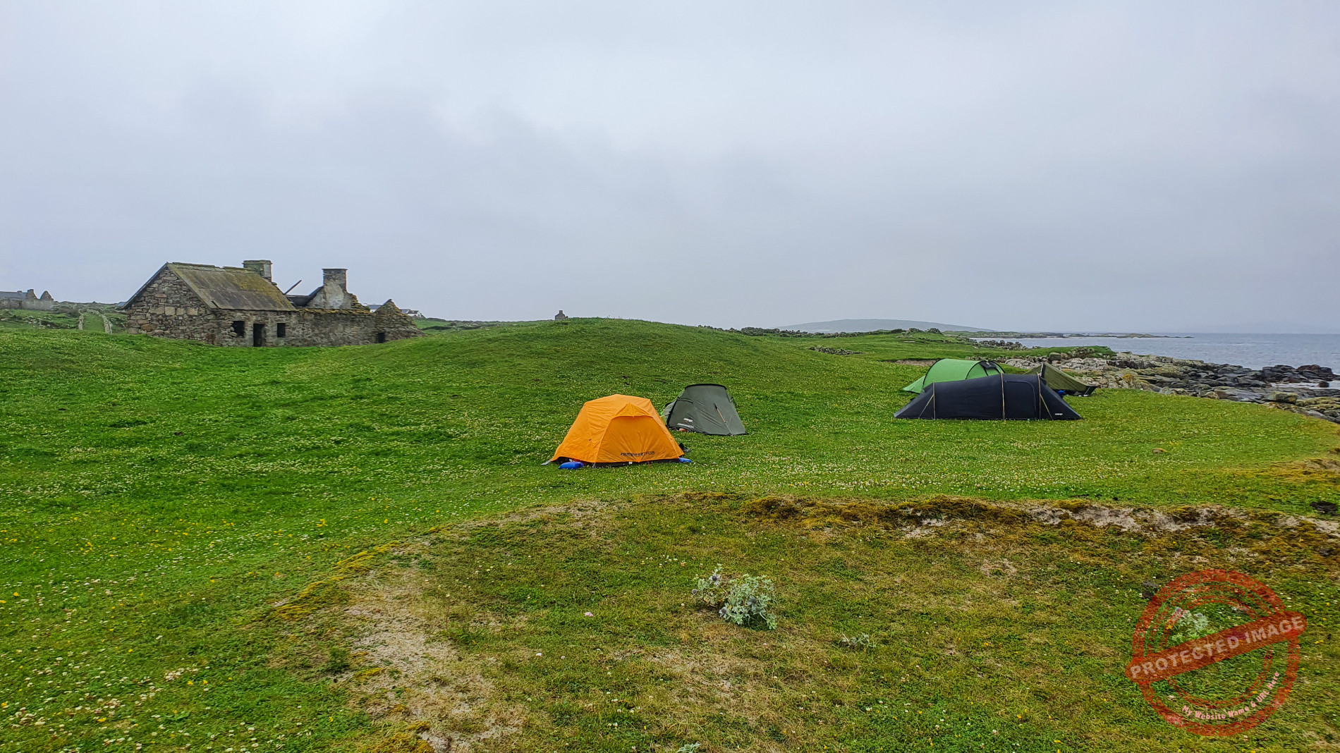 Campsite on Mason Island on wildflower neadow near ruined house.